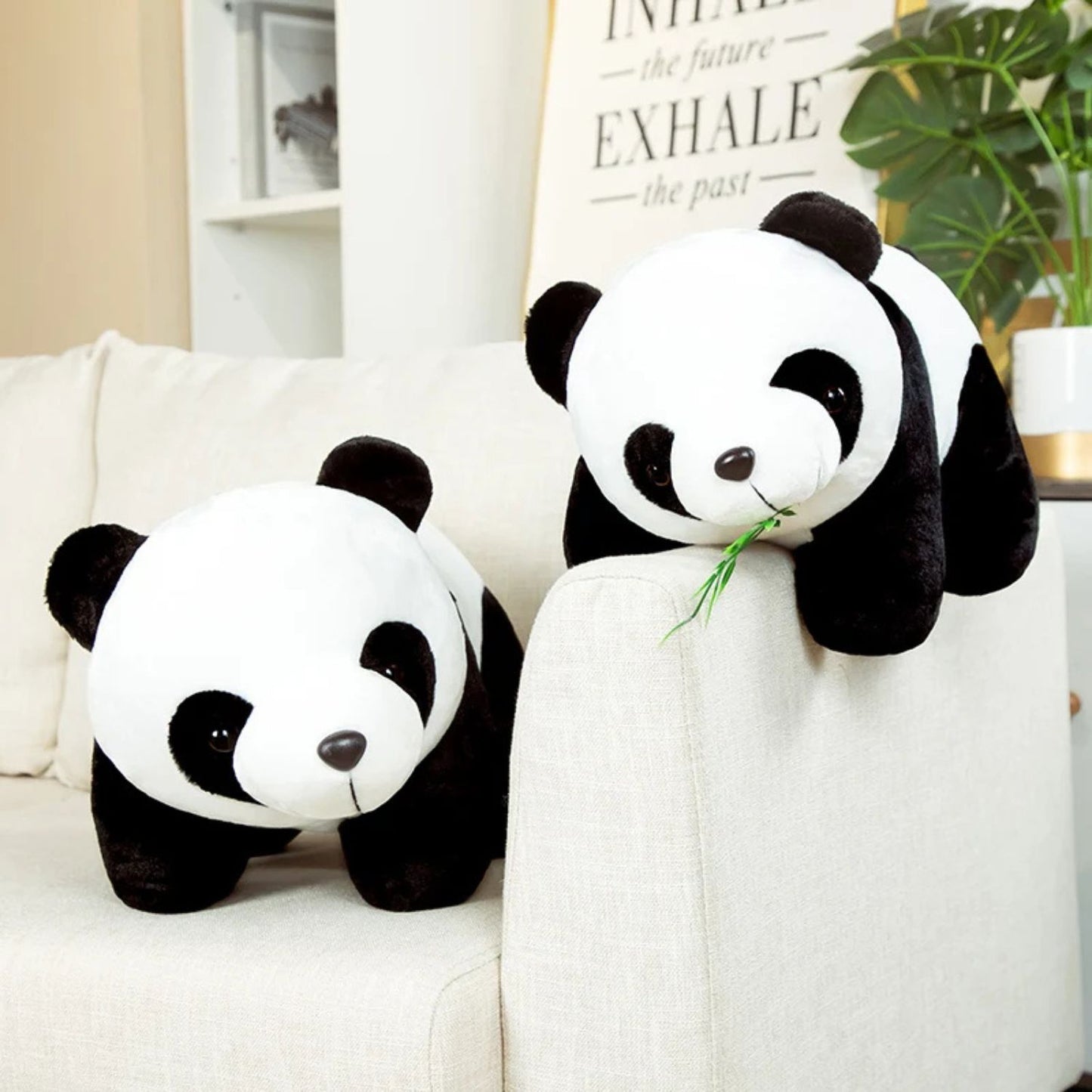 Petite peluche panda
