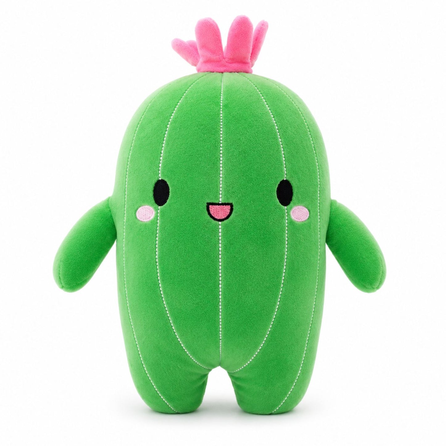 Peluche cactus