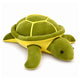 Tortue