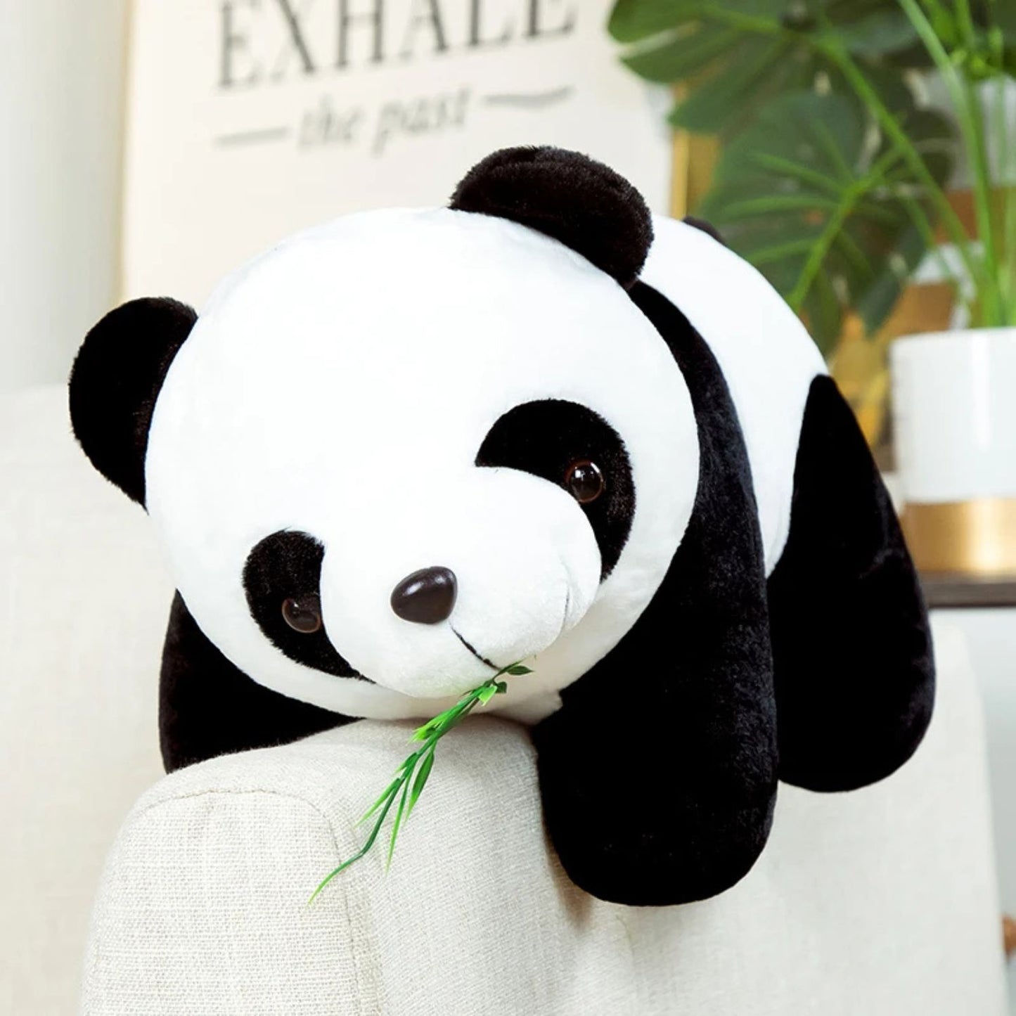 Petite peluche panda