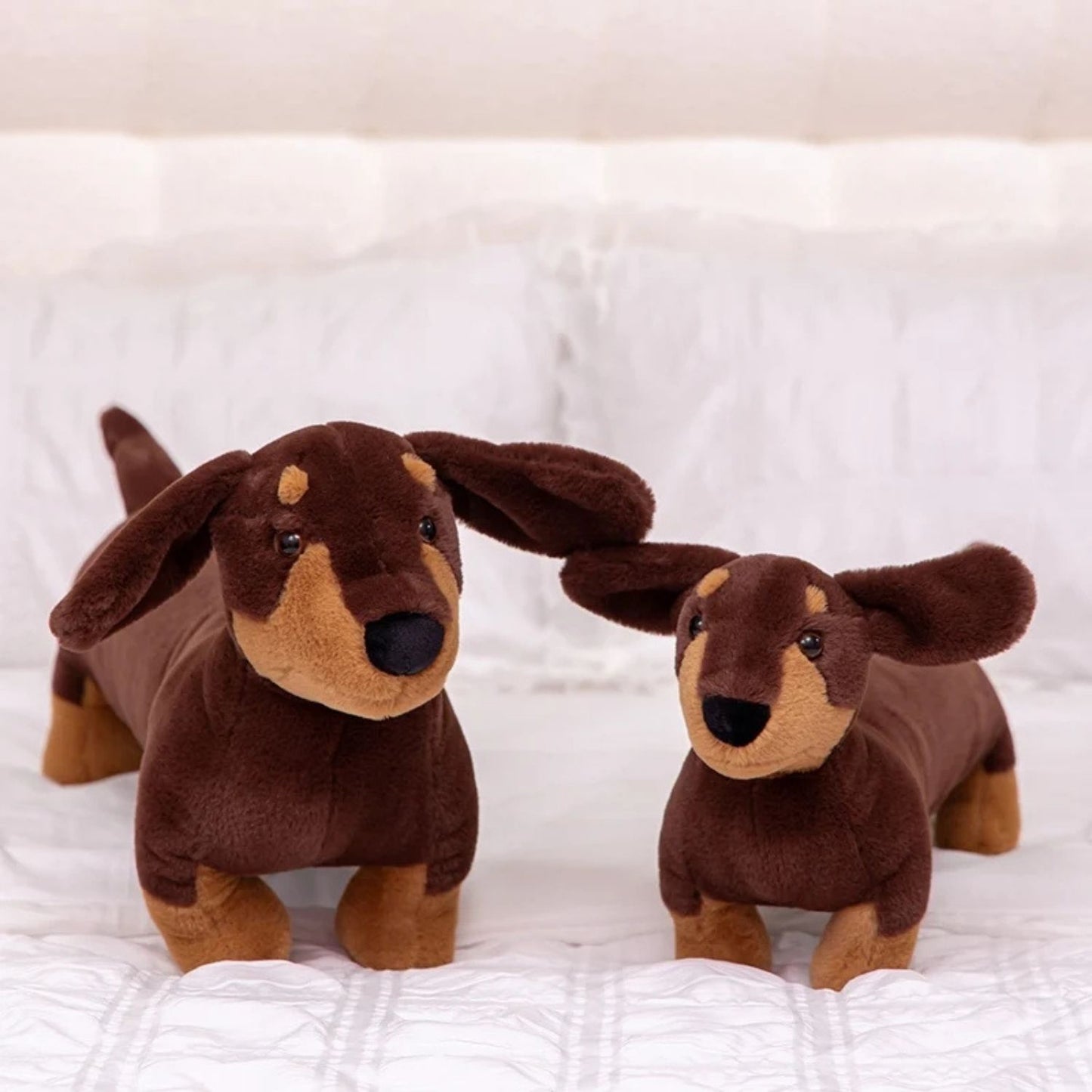 Doudou teckel