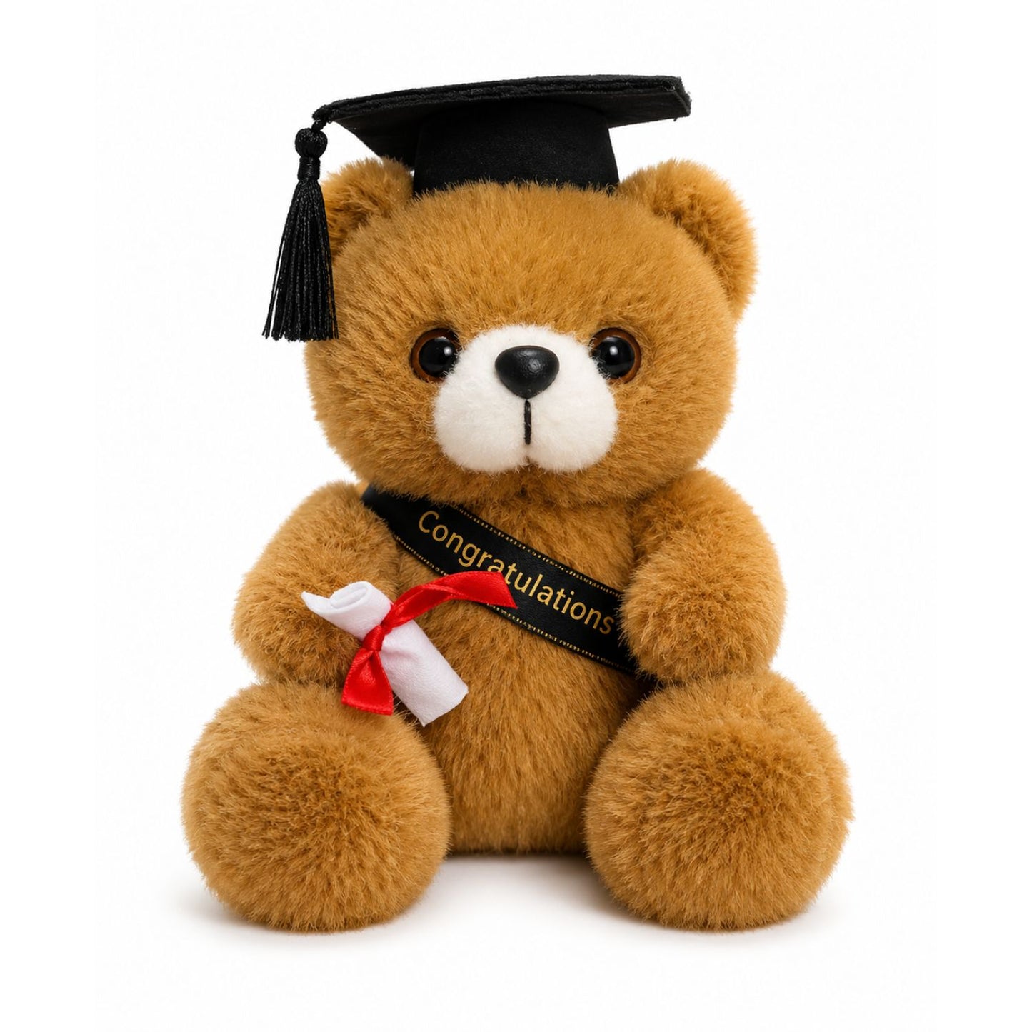 Ours diplômé