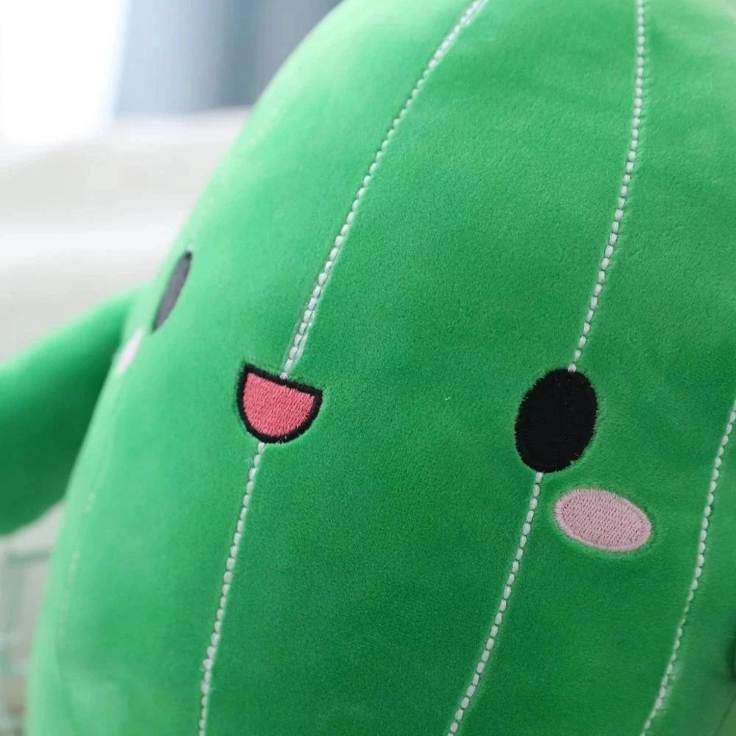 Peluche cactus