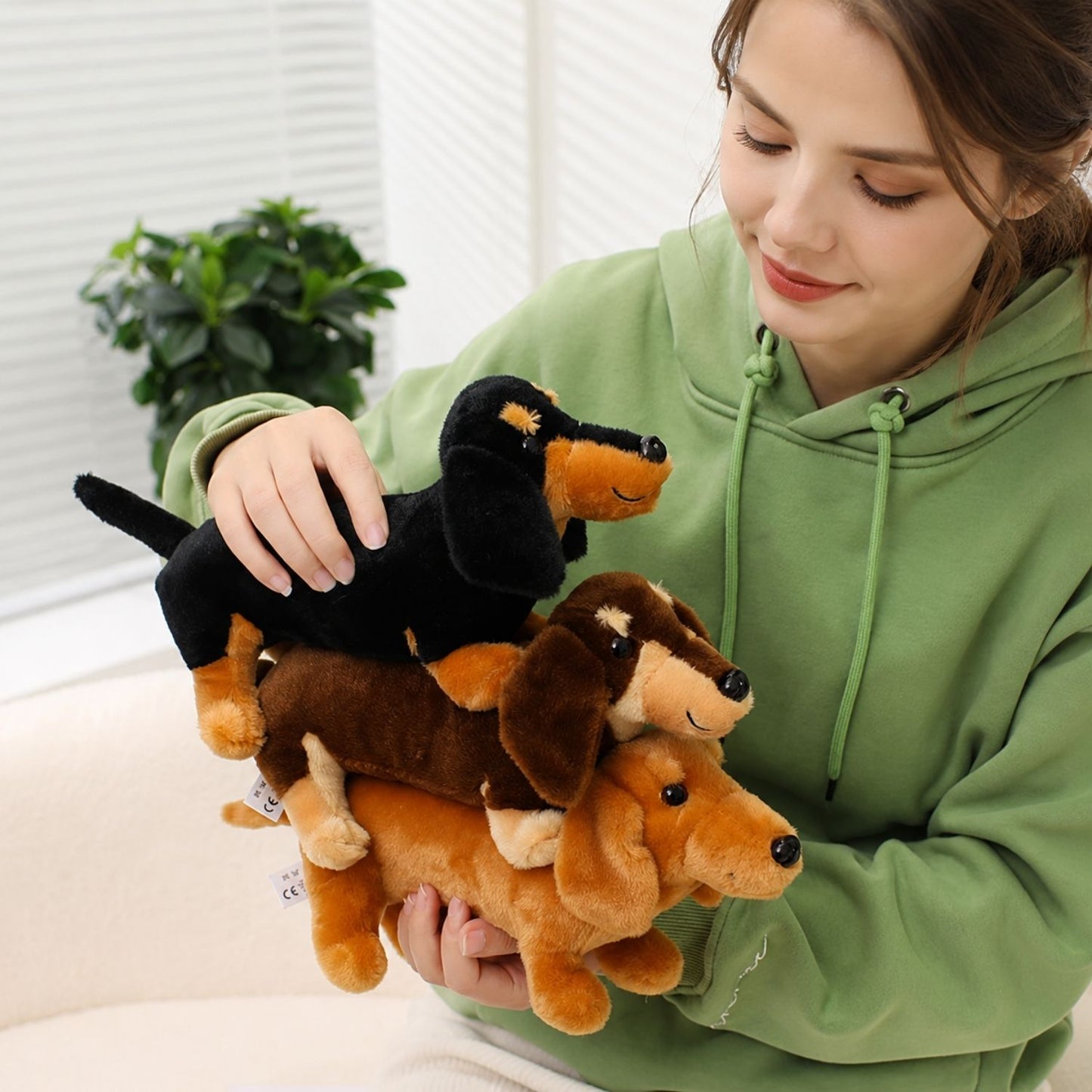 Peluche teckel poil dur